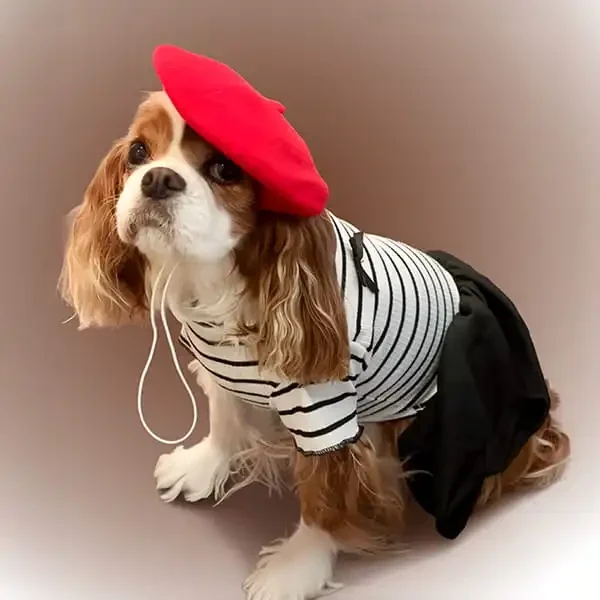 Lucy Love, a Cavalier King Charles Spaniel in a red beret and striped top